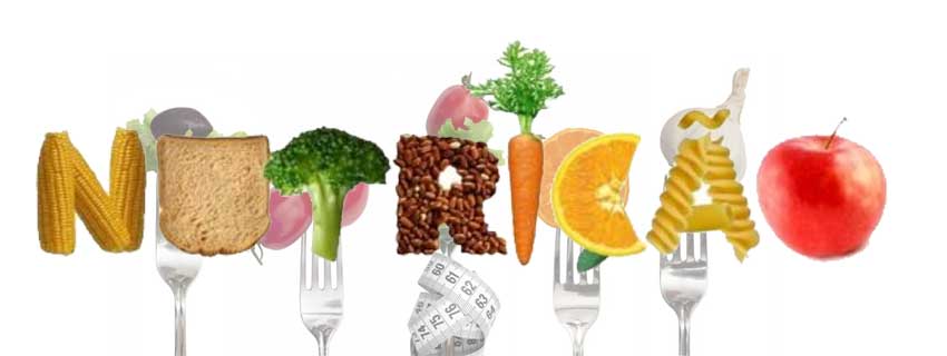CURSO TÉCNICO EM NUTRIÇÃO na Sete Cursos Centro Tecnológico